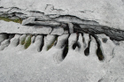 Sheshymore Limestone with classic kharstified exposures of the disolving fracture margins, Grikes, of tabular blocks of limestone pavement, Clints. Widened driven by post glacial disolution (McNamara, & Hennessy, 2010). Variscan folding initiated the fractures (Coller, 1984).